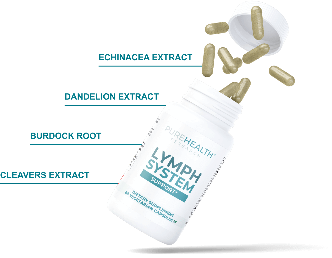ingredients + bottle